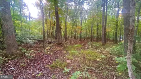 Cliff Lane, Bluemont, VA 20135 photo 6