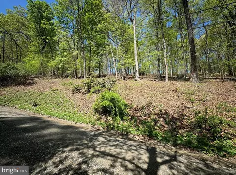 lot121 Timber Ln, Bluemont, VA 20135