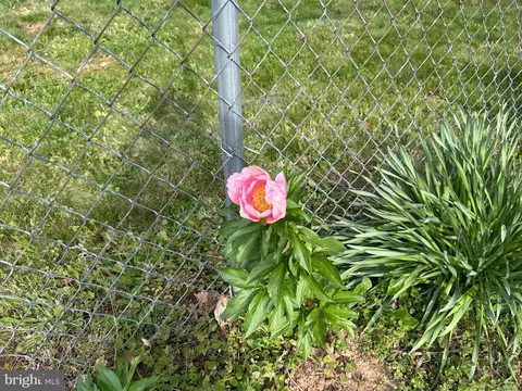 Other - 2091 Old Chapel Rd, Boyce, VA 22620 photo 6 of 14