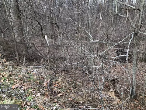Lot 1 Alum Springs, Rixeyville, VA 22737