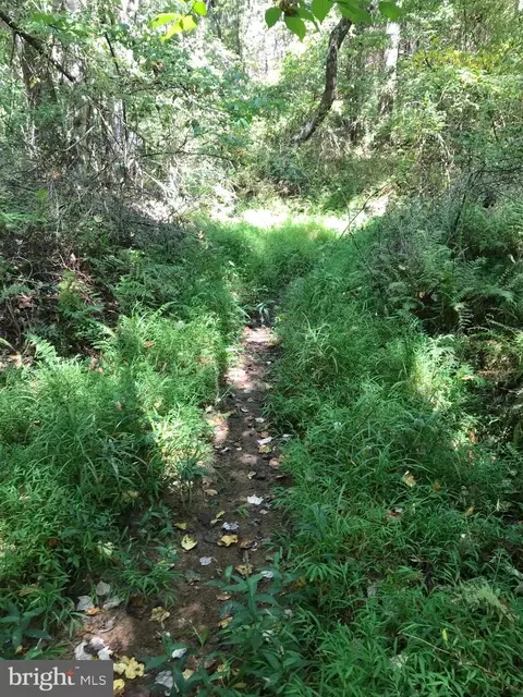 Lot 26b Snappers Trail, Castleton, VA 22716 photo 3