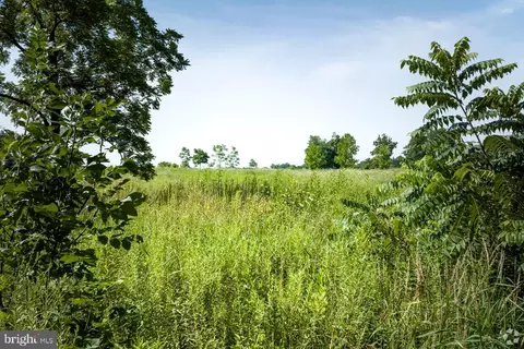 Ferguson Lane, Jeffersonton, VA 22724