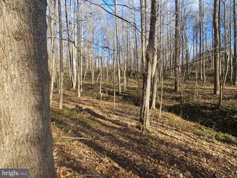 Cedar, Boston, VA 22713