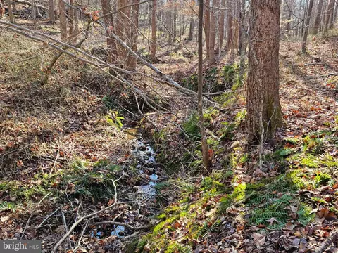 Cedar, Boston, VA 22713 photo 2