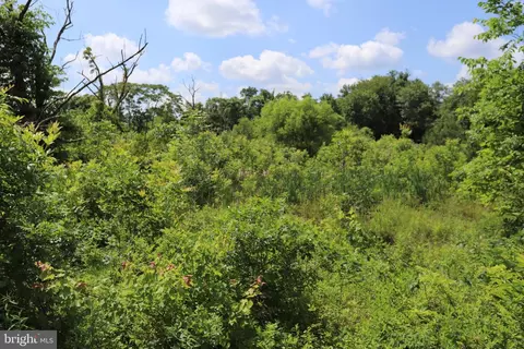 Brandy Road, Culpeper, VA 22701 photo 3