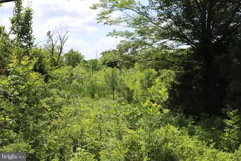 Brandy Road, Culpeper, VA 22701 photo 4