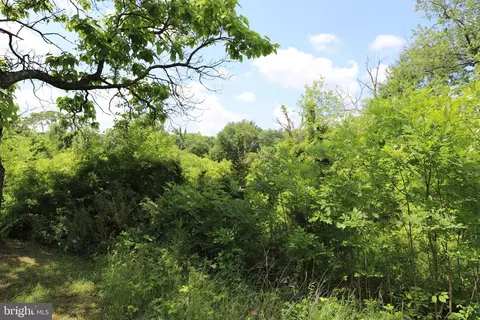 Brandy Road, Culpeper, VA 22701 photo 2