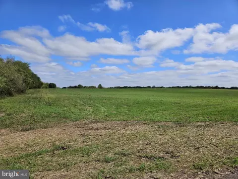 Maple Shade Lane, Culpeper, VA 22701