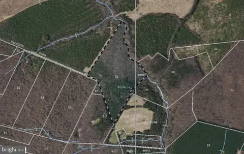 Raccoon Ford Road, Culpeper, VA 22701