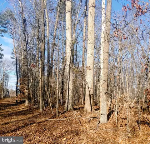 Rixeyville Rd. Rte. 229/ Lot 1 Next To Kimber Lane, Culpeper, VA 22701