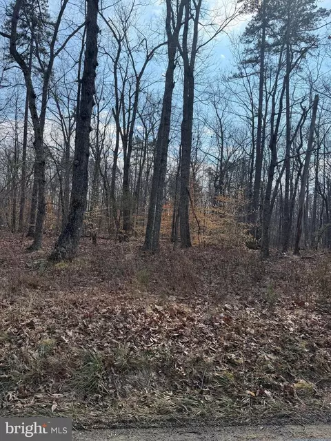 Edwards Shop Road, Elkwood, VA 22718