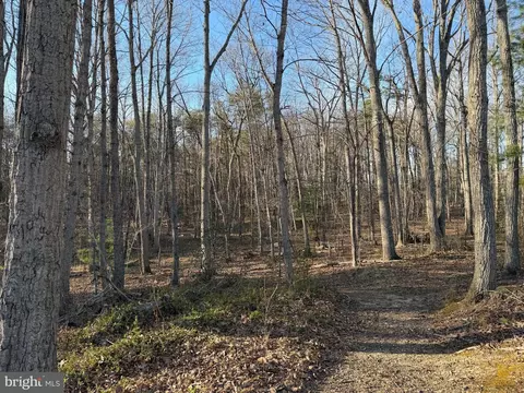 Woodland Church Road, Culpeper, VA 22701