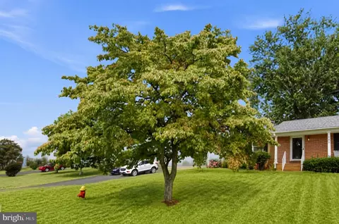 Exterior - 236 Chestnut Dr, Culpeper, VA 22701 photo 5 of 6