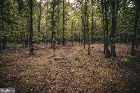 tbd Stringfellow Rd, Culpeper, VA 22701 photo 11
