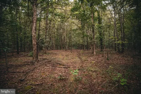 tbd Stringfellow Rd, Culpeper, VA 22701 photo 15