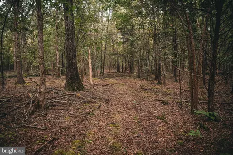 tbd Stringfellow Rd, Culpeper, VA 22701 photo 16