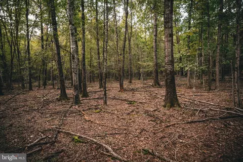 tbd Stringfellow Rd, Culpeper, VA 22701 photo 10