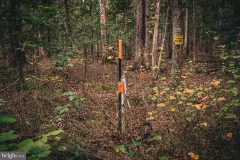 tbd Stringfellow Rd, Culpeper, VA 22701 photo 13