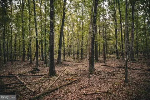 tbd Stringfellow Rd, Culpeper, VA 22701 photo 14