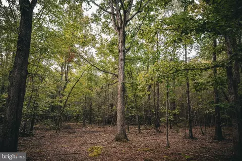 tbd Stringfellow Rd, Culpeper, VA 22701 photo 12