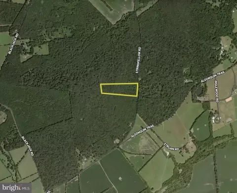 tbd Stringfellow Rd, Culpeper, VA 22701 photo 28