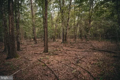 tbd Stringfellow Rd, Culpeper, VA 22701 photo 17