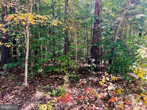 Paradise Lane, Ruther Glen, VA 22546
