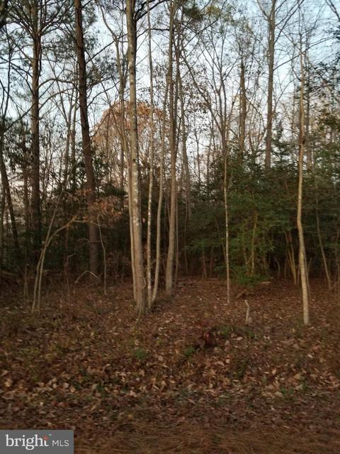 Courtney Road, Hanover, VA 23069