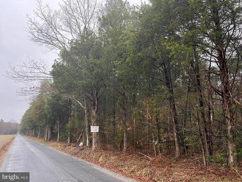 Woodslane Road, Woodford, VA 22580