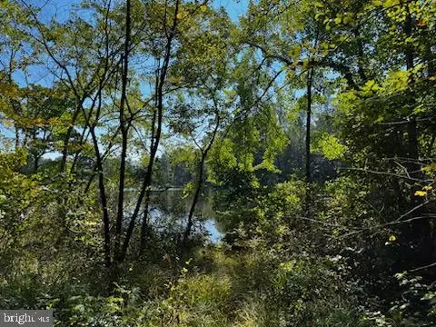 lot1081 Slash Pine Cir, Ruther Glen, VA 22546