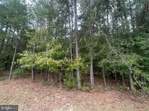 Paige Road, Woodford, VA 22580