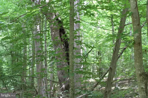 Horseshoe Bend Rd, Ruther Glen, VA 22546