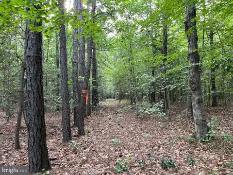 Dawn Blvd, Hanover, VA 23069 photo 10