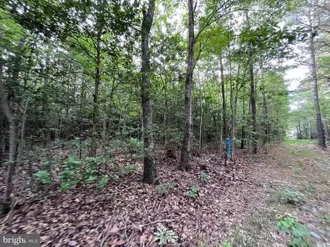 Dawn Blvd, Hanover, VA 23069 photo 4
