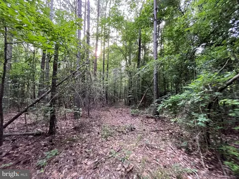 Dawn Blvd, Hanover, VA 23069 photo 9