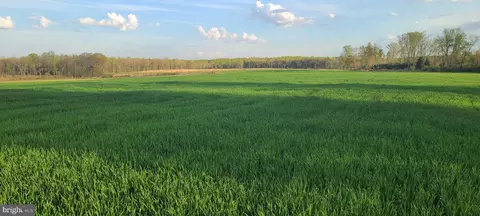 lot Apt 2 Cedar Fork Rd, Ruther Glen, VA 22546