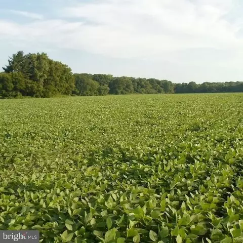 25316 Mattaponi Trl, Milford, VA 22514