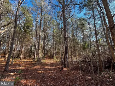 0 Mckenney # C, Woodford, VA 22580