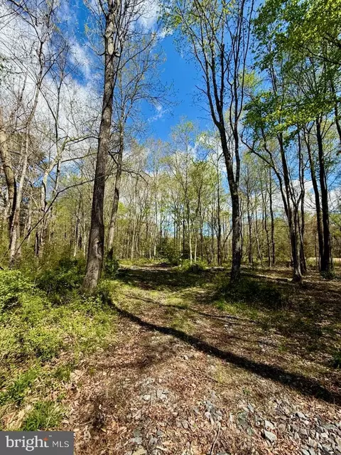 70 Guinea Station Rd, Woodford, VA 22580