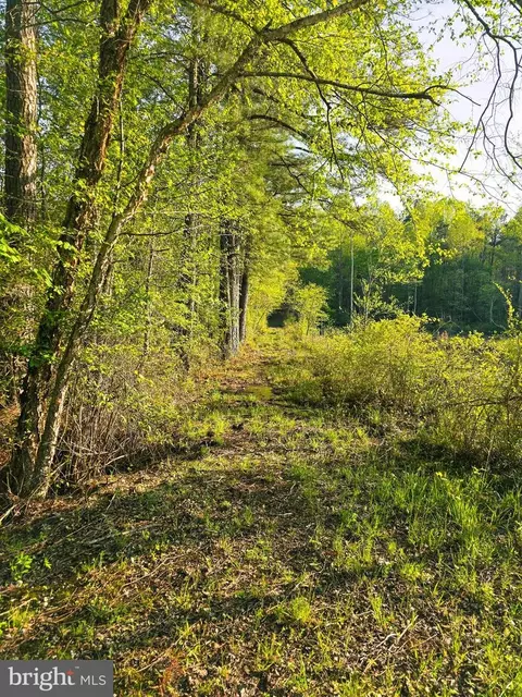 lot16 Tax Id 94a-2 B-16 Jennings Dr, Ruther Glen, VA 22546