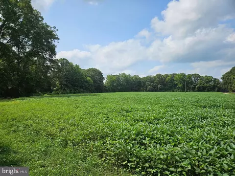 Easement Off Of Ladysmith Road, Ruther Glen, VA 22546