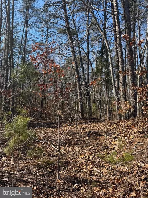 Kennedy Street, Woodford, VA 22580
