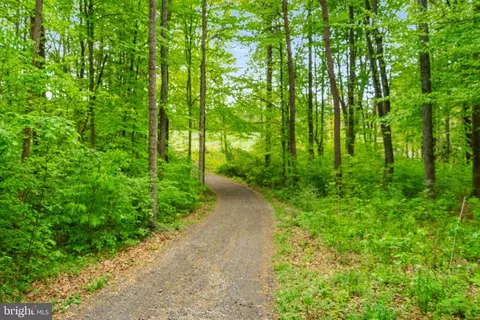 Other - 2319 Sizer Rd, Beaverdam, VA 23015 photo 16 of 20
