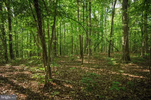 0 Trivette Rd, Beaverdam, VA 23015 photo 36