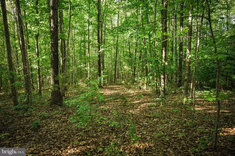 0 Trivette Rd, Beaverdam, VA 23015 photo 37