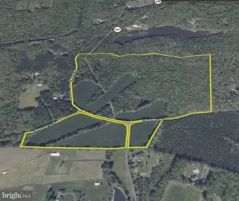 0 Trivette Rd, Beaverdam, VA 23015 photo 41