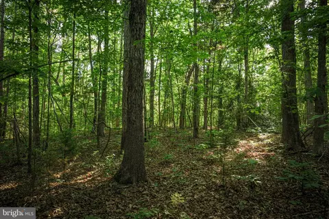 0 Trivette Rd, Beaverdam, VA 23015 photo 35