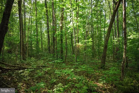 0 Trivette Rd, Beaverdam, VA 23015 photo 34
