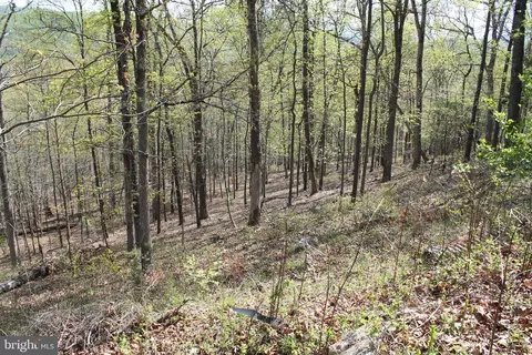 224 Estate Dr, Ruther Glen, VA 22546