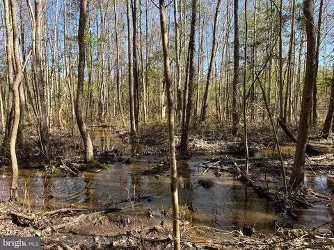 Fox Branch Rd Tract, Carson, VA 23830 photo 15